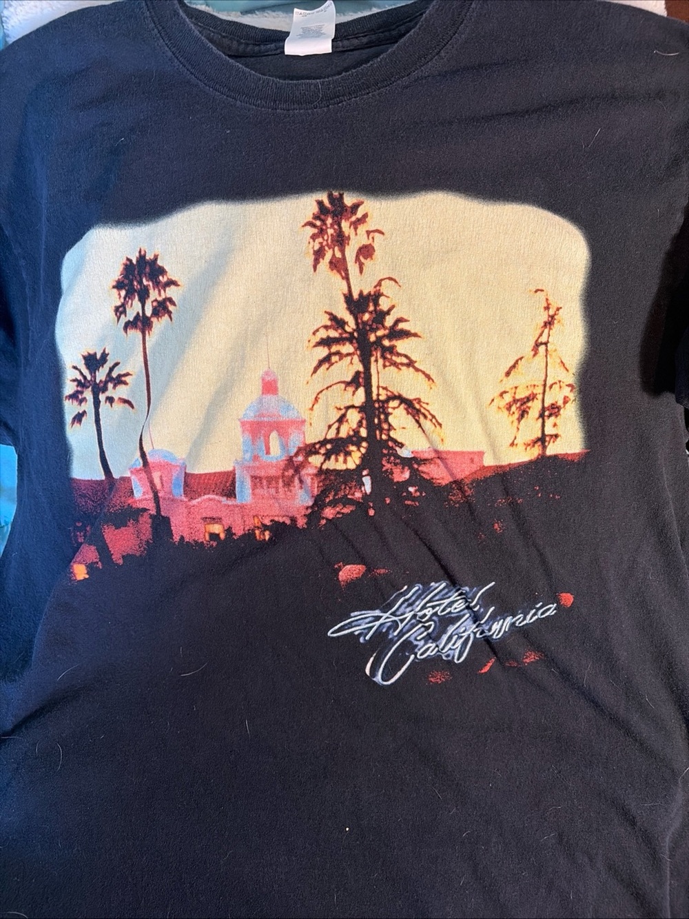H&M Black Graphic Tee with Sunset Palm Print